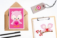 Valentine Owls graphics and illustrations Product Image 4