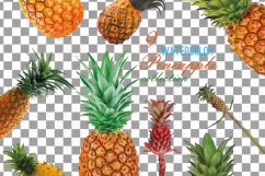 Watercolor Pineapple clip art pack, watercolor ananas clip art exotic fruit, Printable png, pdf, jpg, svg, eps and vector files included. Product Image 9
