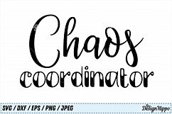 Teacher, SVG, Teacher SVG Bundle, Teacher Bundle, Cut files Product Image 7