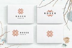 Logo Creator - Master Branding kit Product Image 15