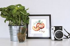 Pumpkin. Watercolor bundle Product Image 9