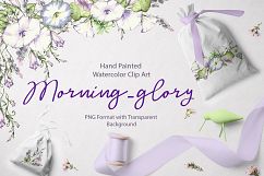 Watercolor flower Clip Art â€“ Morning-Glory Product Image 1