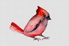 Aquarelle Christmas collection elements Product Image 6