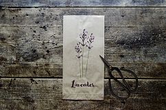 Herbs set Product Image 2