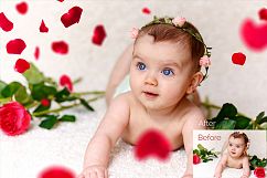 21 Rose Petal Photoshop Overlays Product Image 7