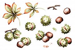 Sunny autumn. Chestnut set Product Image 2