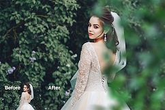 42 Green Tree Branch Photo Overlays Product Image 5