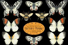 The Butterfly Meadow Product Image 5