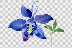 Flowers set PNG watercolor   Product Image 2