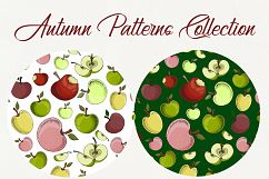 Autumn Patterns Collection - vector illustration Product Image 2