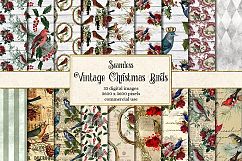 Vintage Christmas Birds Digital Paper Product Image 1