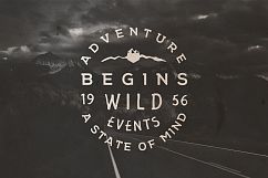 100 VINTAGE LOGO TEMPLATES Product Image 20