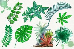 Tropical Leaves in the Jungle Product Image 3