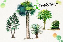 watercolor exotic trees Product Image 3