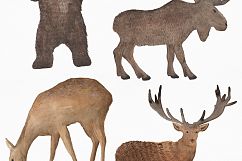 Watercolor Frames, Patterns and Animals Product Image 5
