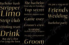 Bachelor Party Word Art Clipart Product Image 3