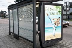 Capoeira Product Image 4
