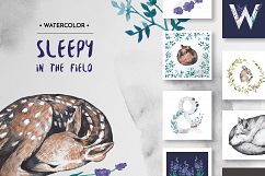Sleepy in the field Product Image 1