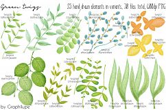 Green Twigs - Hand-drawn Illustration Kit Product Image 2