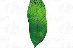 Tropical Paradise watercolor clip art pack, watercolor tropical leafs and flowers. Watercolor Toucan, PNG, jpg, svg, vector files included Product Image 11