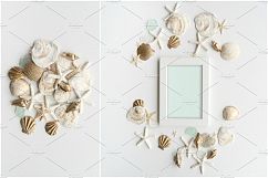 Summer Photo Bundle - Seashells Product Image 11