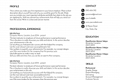 resume template, CV template, CV design, rainbow Product Image 2