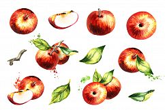 Sweet autumn. Apples set Product Image 2