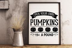 Pick Your Own Pumpkins | Cut SVG | Print PNG | Fall | Autumn Product Image 3