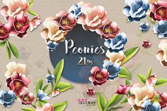 Peonies Product Image 5
