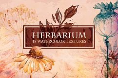 Herbarium. Watercolor Textures. Product Image 1