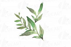 Wild leaves and flowers watercolor clip art pack Product Image 16