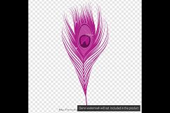 100 Antique Peacock Feather Clip Arts, Antique, Romantic Product Image 2