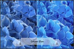 Incredible Flowers Profiles LR7.3 ACR10.3 Product Image 20