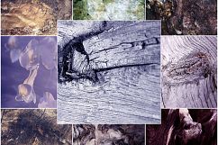 2000 High Resolution Backgrounds Product Image 22