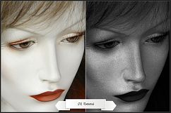 Infrared Monochrome Master Profiles LR7.3 ACR10.3 Product Image 13