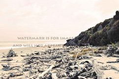 9 Dreamy Pink Beach Photos Product Image 5