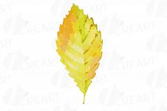 Autumn leafs watercolor clip art pack, watercolor fall frame Product Image 7