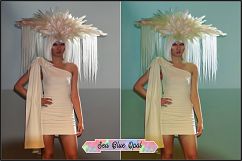 Opalesque Fashion Show Profiles LR 7.3 ACR 10.3 Product Image 24