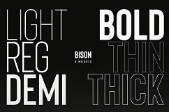 Bison - A powerful font Product Image 2