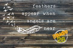 Feathers appear when Angels are near Product Image 1