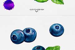 Watercolor Fruits Vol. 3 Product Image 8