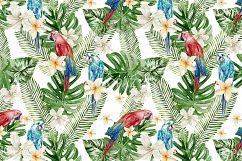 16 Hand Drawn Watercolor Pattern Product Image 15