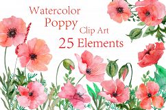 Watercolor Poppy flowers clipart Product Image 1