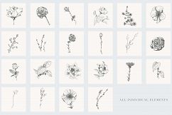 Botanical Illustrations Vol.2 Product Image 2