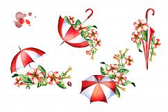 Red and white petunias and umbrellas Product Image 2