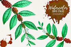 Watercolor Coffee Stains and Stalks Product Image 3