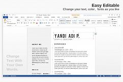 Simple Resume / CV Product Image 4