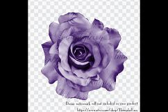 100 Real Roses Clip Arts, Romantic Valentine Scrapbook Product Image 6