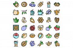 Superfood icons set vector flat Product Image 1