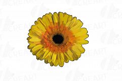 Watercolor Gerbera Daisy clip art pack, colorful gerbers Product Image 4